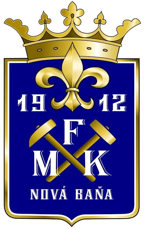 Logo domácich